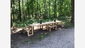 Rolstoel picknicktafel Staatsbosbeheer Leersum