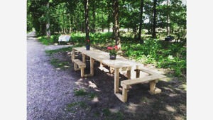 Rolstoel picknicktafel Staatsbosbeheer Leersum