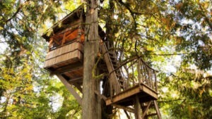 Tenso boomhut kopen en laten bouwen